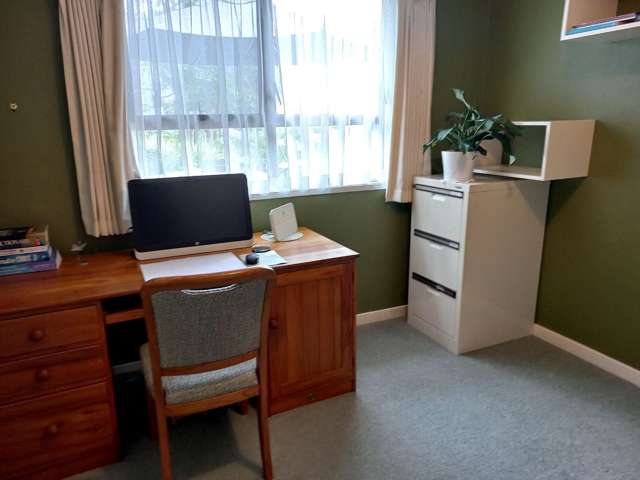 11 Wilkinson Way Browns Bay_4