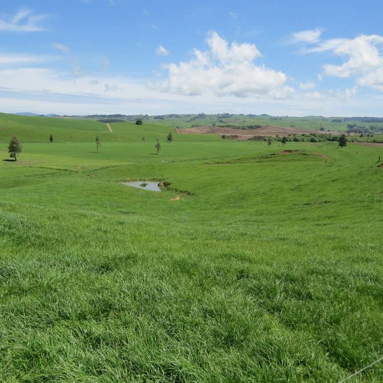 Kahuwera Road Piopio_7