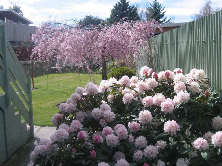 49 Ashworth Street Alexandra_16