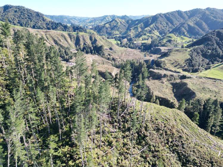Cnr Whanganui River Road and Otunui South Road Taumarunui_17