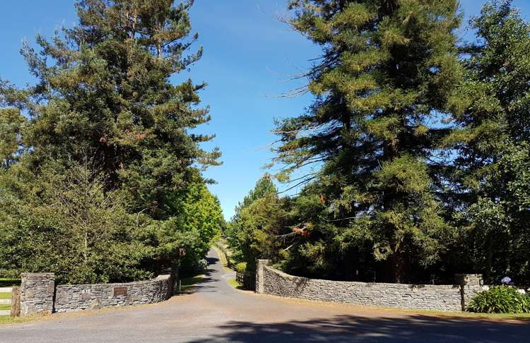 618b Maungatautari Road Cambridge_27