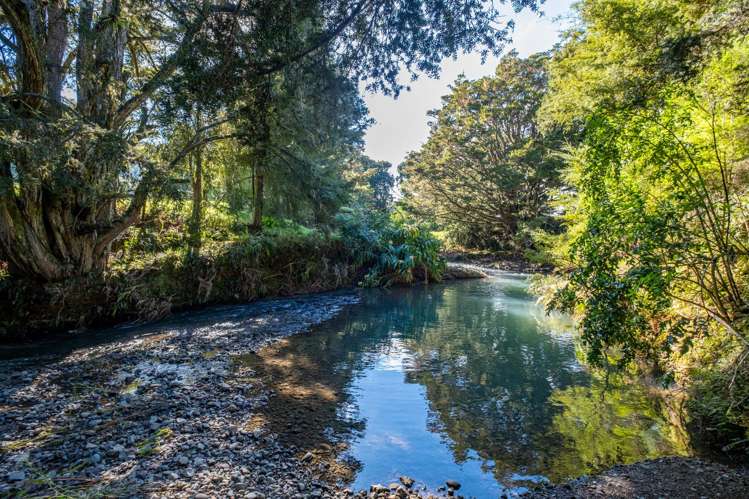 373 Fern Flat Road Peria_13