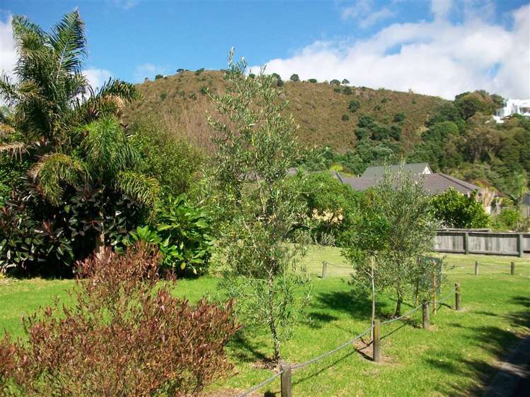 65a Bowentown Boulevard Hauraki Surrounds_2