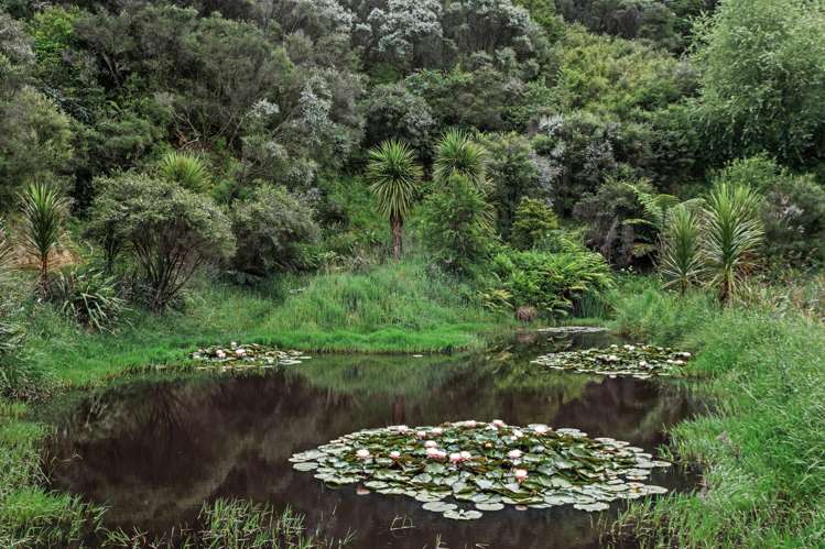 496 Wainui Road Wainui_1