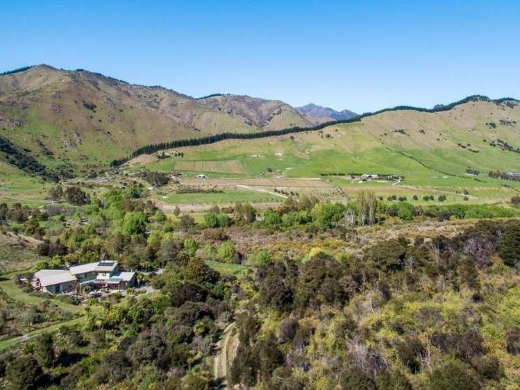 943 Taylor Pass Road Taylor Pass_20