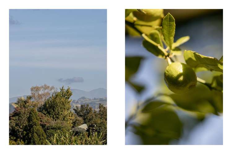 15b Ruahine Street Ohauiti_13