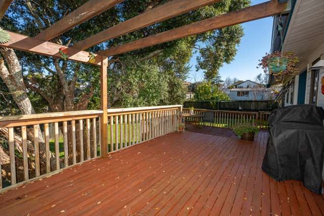 149A Ellicott Road Nawton_1