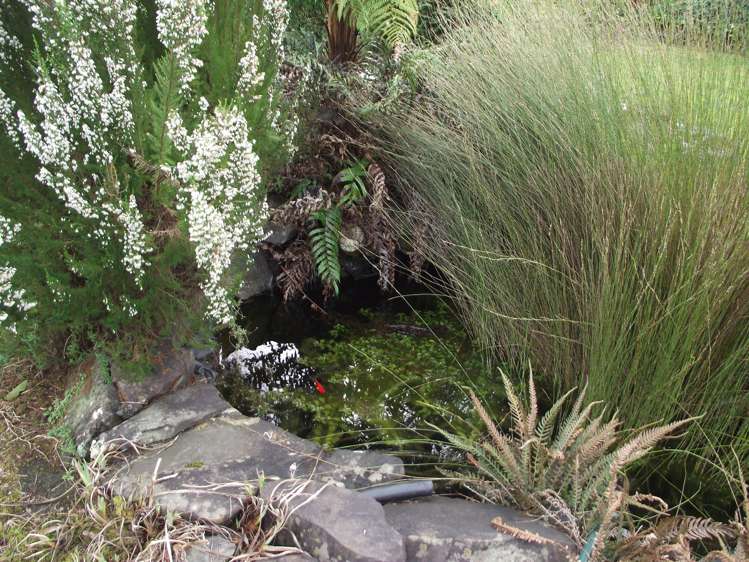 50 Adams Street Waihi_7