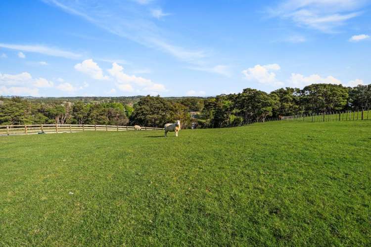 153 Waikoukou Valley Road Waimauku_16