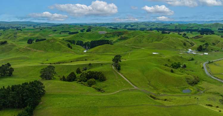 250 North Road Eketahuna_6