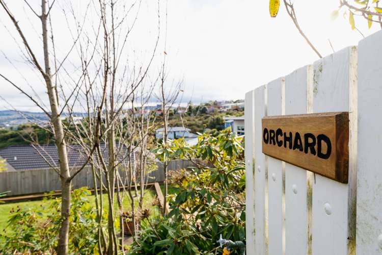 251 Highcliff Road Shiel Hill_26