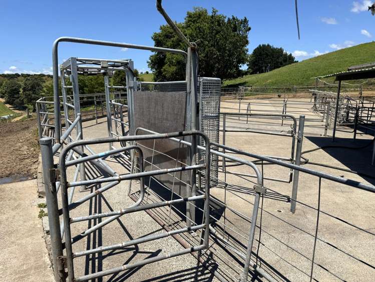 219 Waitomo Valley Road Otorohanga_25