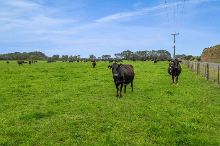 308A Arawhata Road Opunake_7