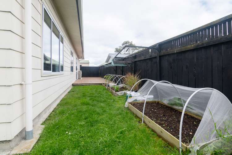 3a Seaforth Avenue Milson_13