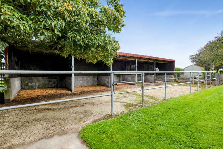 121 Warwick Road Stratford_16