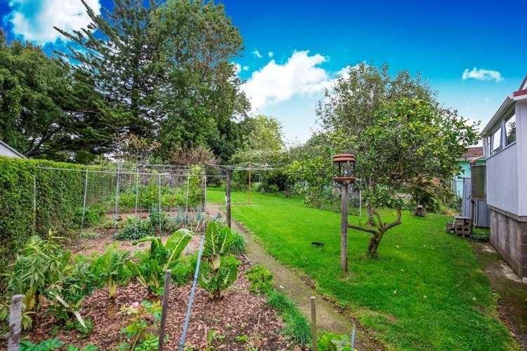 12 Mcclintock Road Massey_5