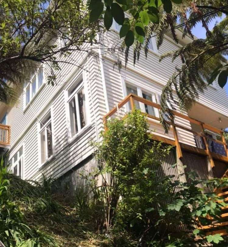 6A Semeloff Terrace Aro Valley_14