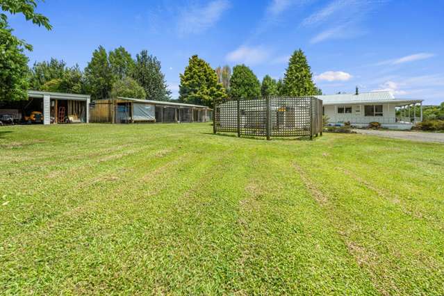 700 Te Matai Road Te Puke_1