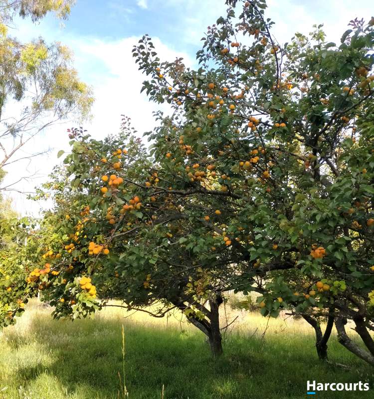 276 Brooklyn Valley Road Motueka_33