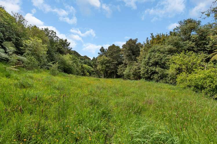 Lots 3, 4 & 5 Don Meara Lane Kauri_31