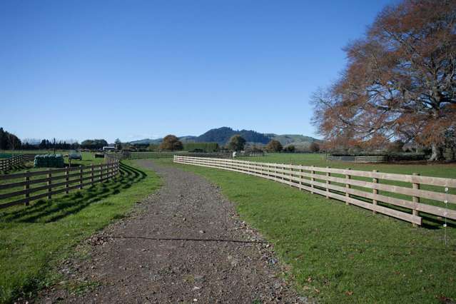 312b Marychurch Road Matangi_2