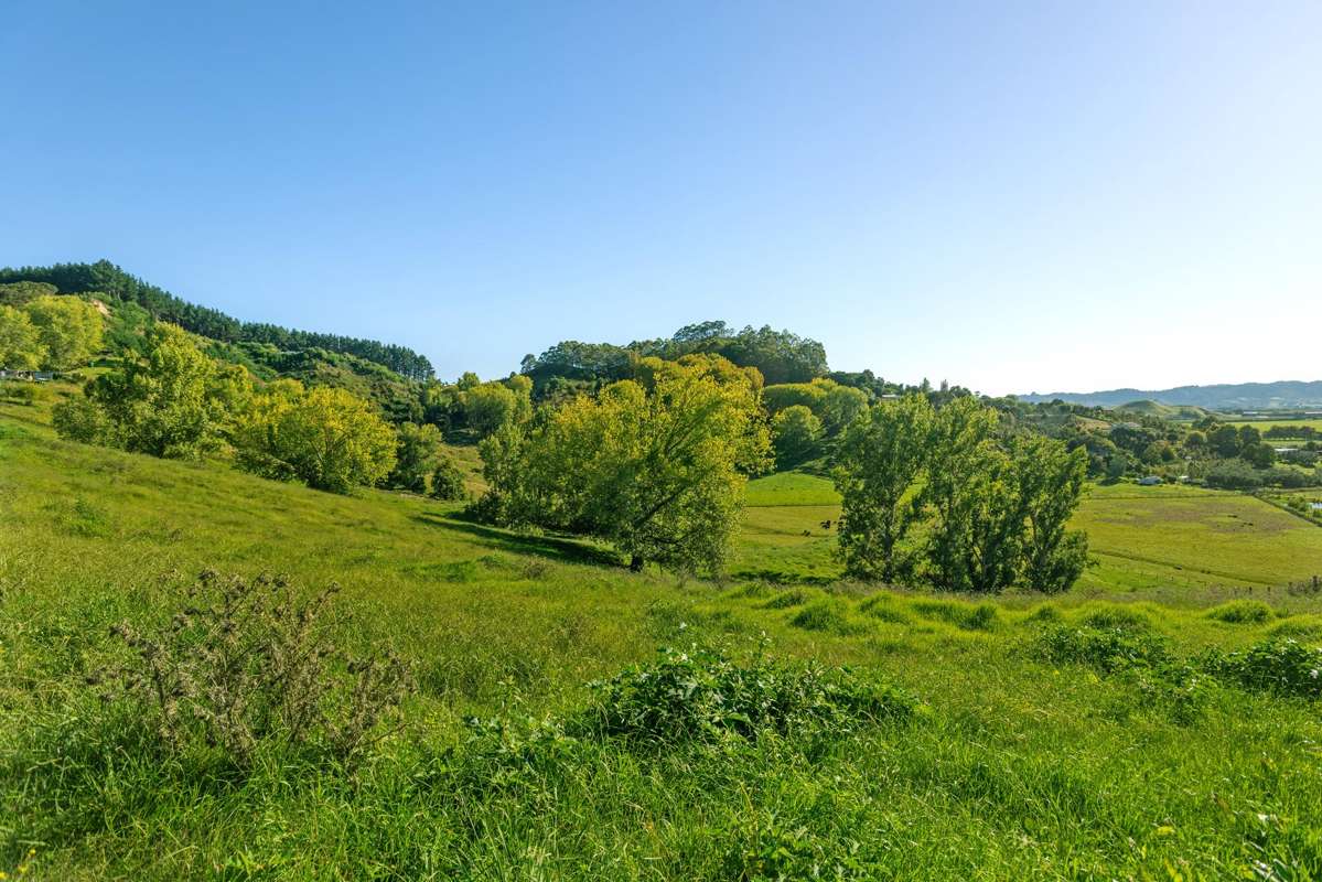 Lot 2 Repongaere Road_3