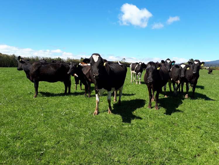 1971 Egmont Road Kaimiro_20