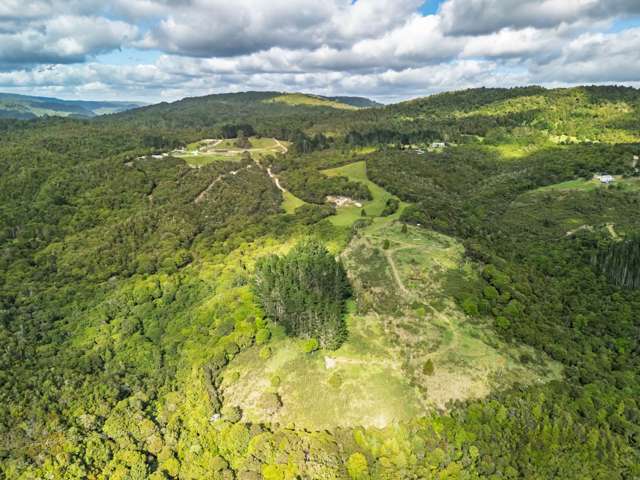 Lot 2/2084 Waiare Road Kaeo_3