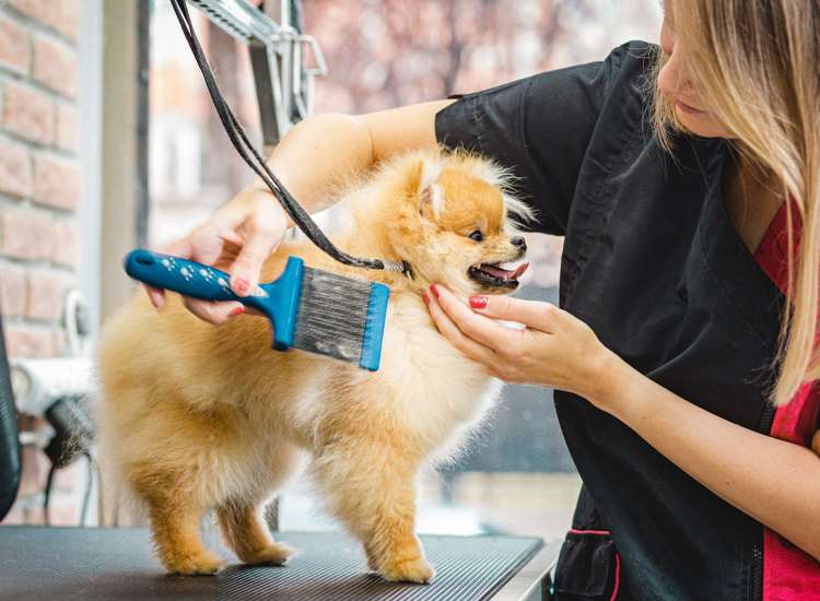 Address withheld Auckland_2