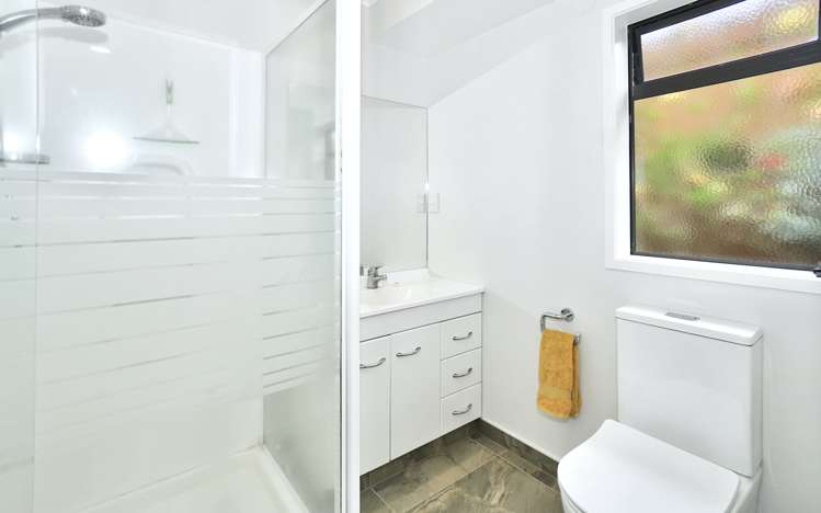 6 Norm Freeman Drive Te Puke_9