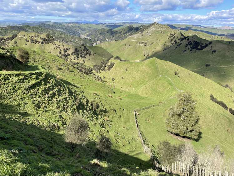 166 Saddler Road Ruapehu_24