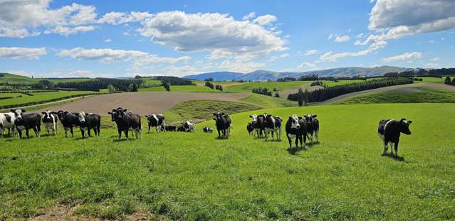 406 Byars Road Chatton North_1