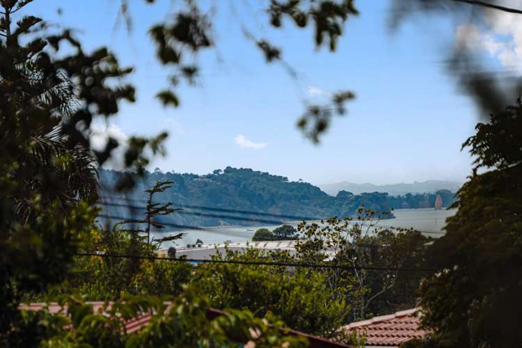 202 Royal Road Massey_32