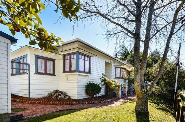 1 Arawa Street New Lynn_1