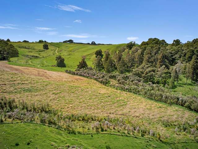 / Lot 2 Judd Road Maungaturoto_2