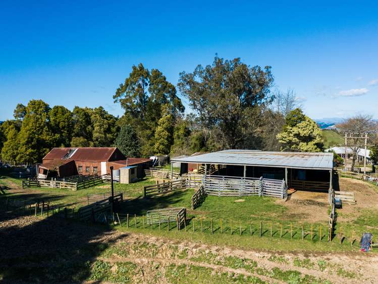 1875 Kanakanaia Road Whatatutu_14