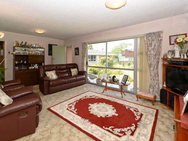 25a Leyton Place Nawton_4