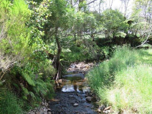 358b Lockington Road Aongatete_2