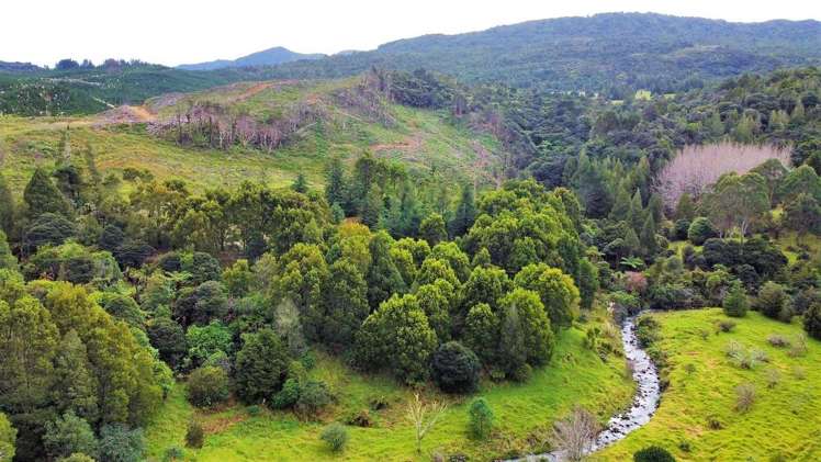 Wekaweka Road Waimamaku_24