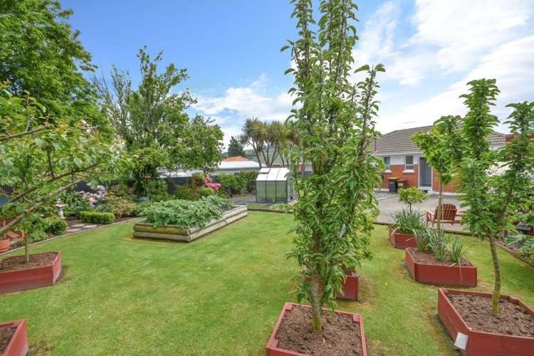 357 Brighton Road Waldronville_22