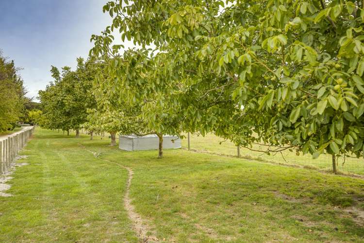 Lot 2, DP 327947, Miller Road Havelock North_16