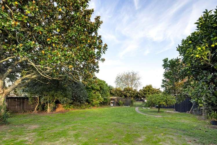 85 East Street Claudelands_38