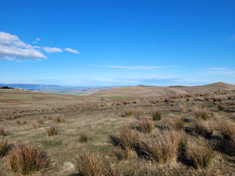901 Wilden Runs Road West Otago Surrounds_24