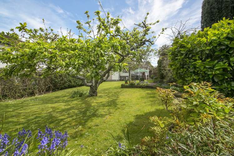 89 Campbell Road One Tree Hill_13