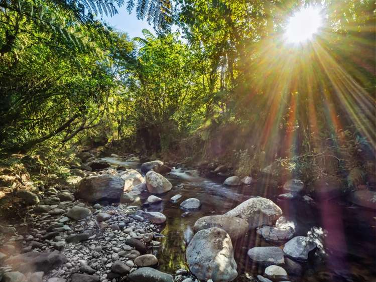 82 Upland Road Aongatete_43