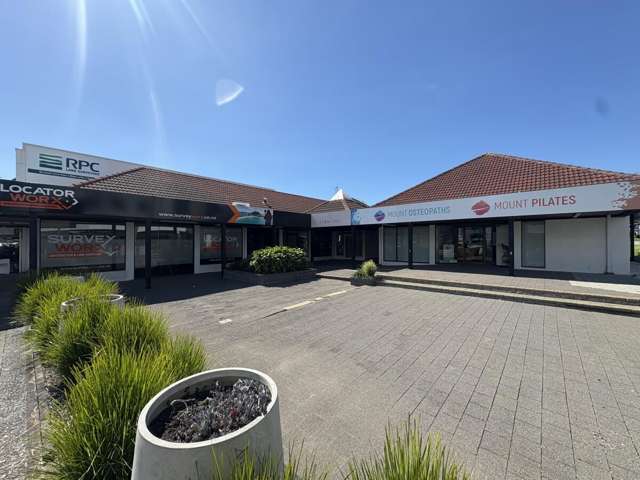 Tenancy 2, 325 Maunganui Road Mount Maunganui_1