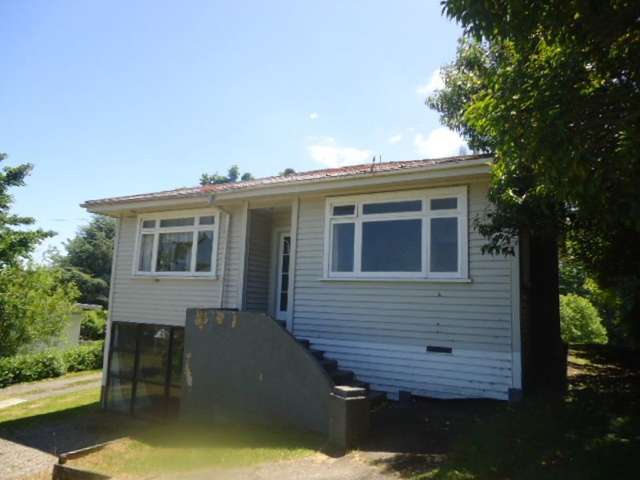 63 Arapuni Street Putaruru_1