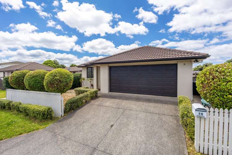 16 The Rise Gulf Harbour_23