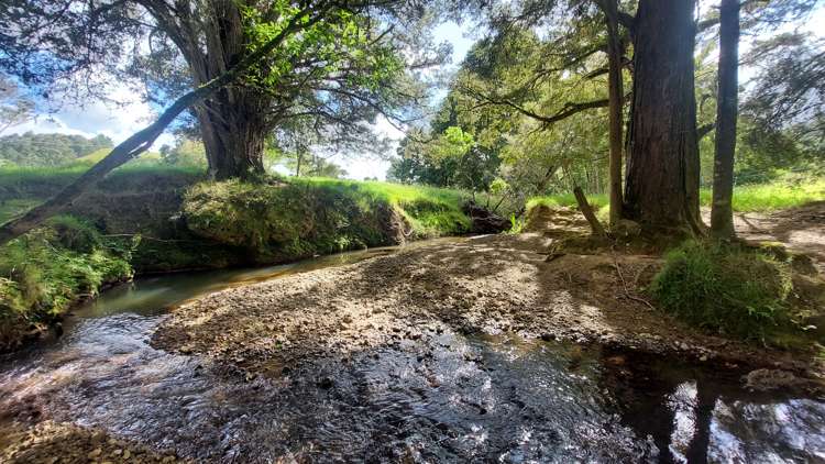 23 Jellick Road Hikurangi_28