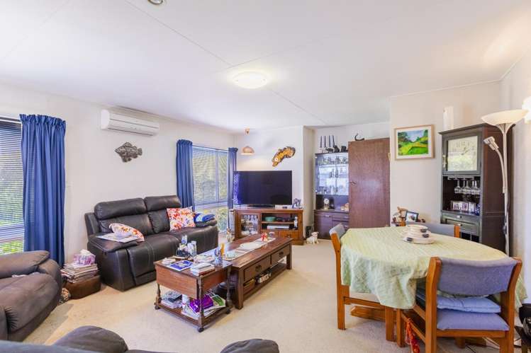 46 Coventry Avenue Tamatea_1